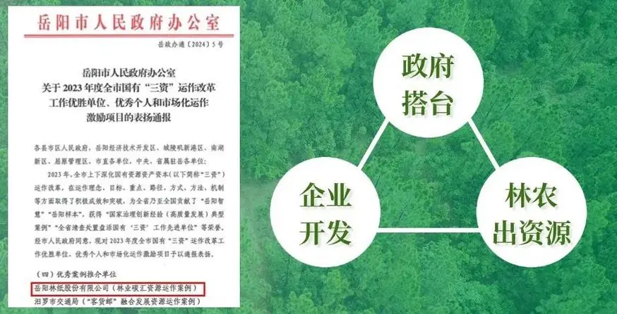 岳陽林紙2023年實現(xiàn)營收86.41億元 碳匯業(yè)務(wù)崛起成為新增長極