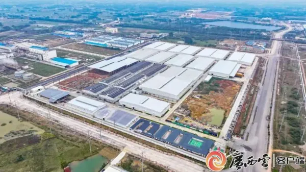 中國—東盟生活用紙產(chǎn)業(yè)園區(qū)初具規(guī)模