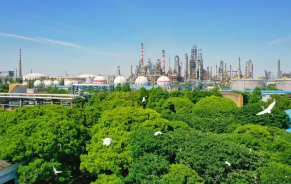 河南許昌東城區(qū)：綠色工廠“綠”意盎然