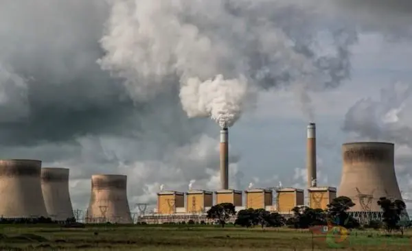 印度造紙行業(yè)的現(xiàn)狀、風(fēng)險(xiǎn)和發(fā)展機(jī)遇