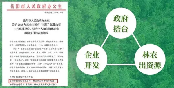 岳陽(yáng)林紙2023年實(shí)現(xiàn)營(yíng)收86.41億元 碳匯業(yè)務(wù)崛起成為新增長(zhǎng)極