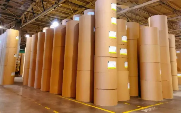 紙包裝行業(yè)縱覽：從疫情低迷中復(fù)蘇，迎接需求復(fù)蘇與定價(jià)挑戰(zhàn)！